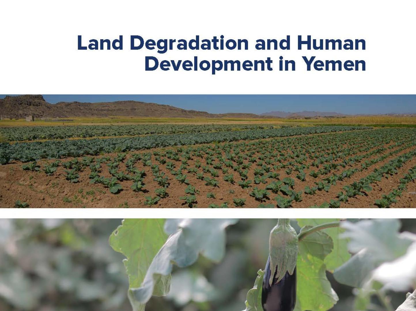 Yemen Humanitarian Needs and Response Plan 2025 (January 2025) | United
