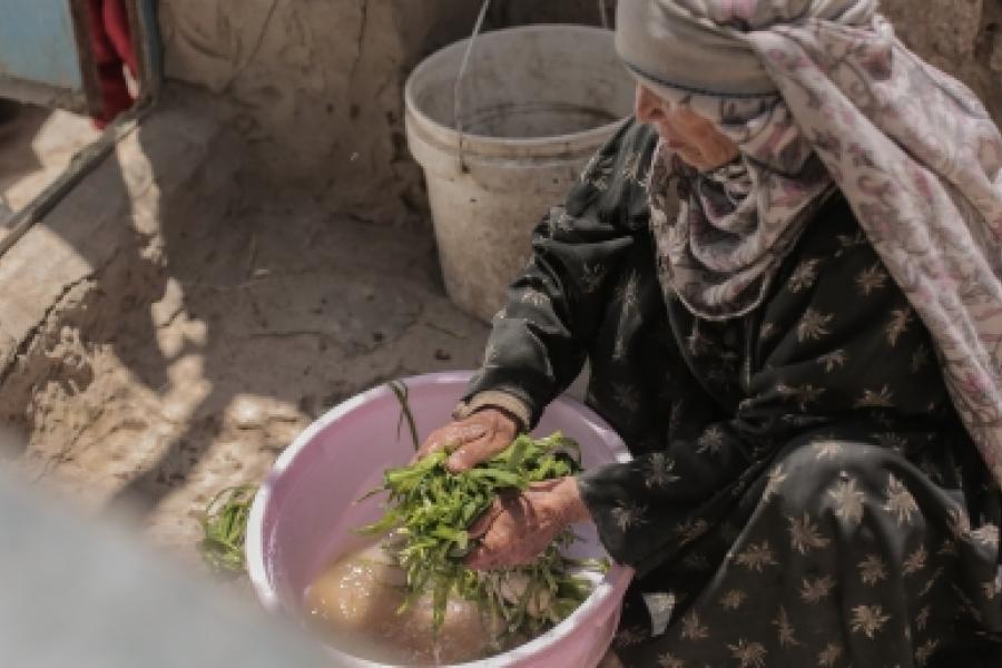 Adba cleans vegetables in a bowl using safe, treated water