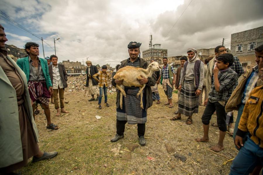 Faisal holding one of the sheep he bought to sustain his family