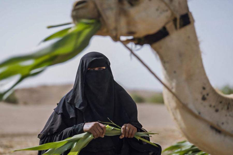 UNDP Yemen SAMIA AN EMPOWERED AND RESILIENT RURAL YEMENI WOMAN   Undp1 0 