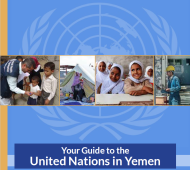 Your Guide to the United Nations in Yemen (2015)