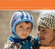 humanitarian-plan yemen