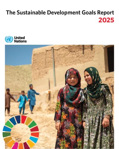 SDG Report 2025