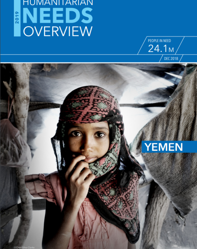 2019 Yemen HNO