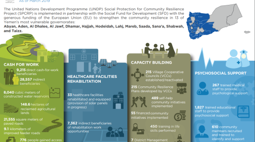 Social Protection for Community Resilience